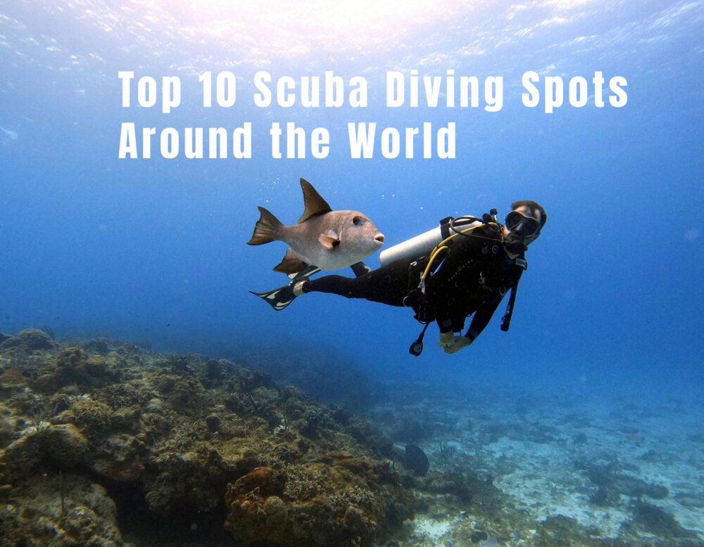 Top 10 Scuba Diving Spots Around the World: Dive into Adventure