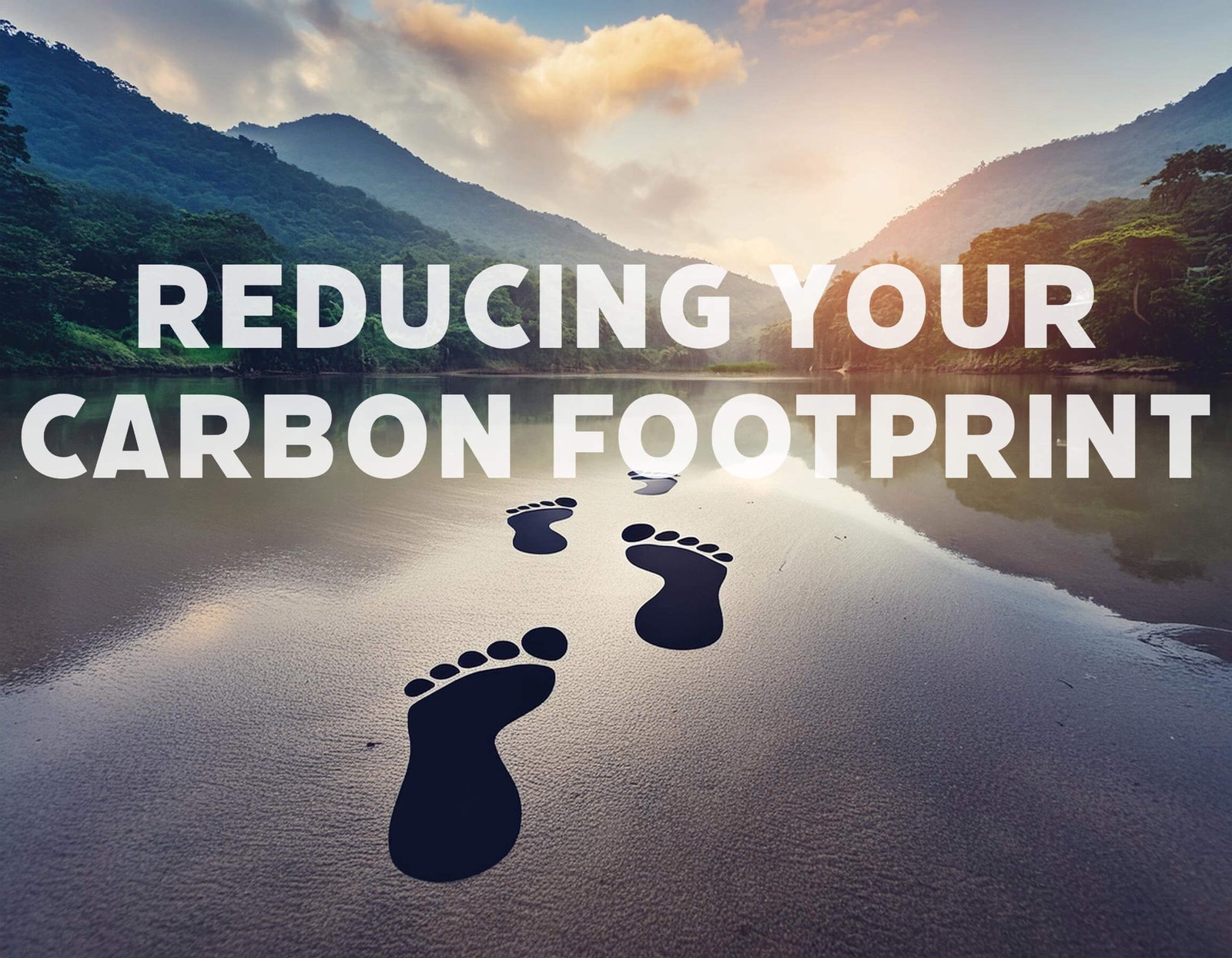 Reducing Your Carbon Footprint