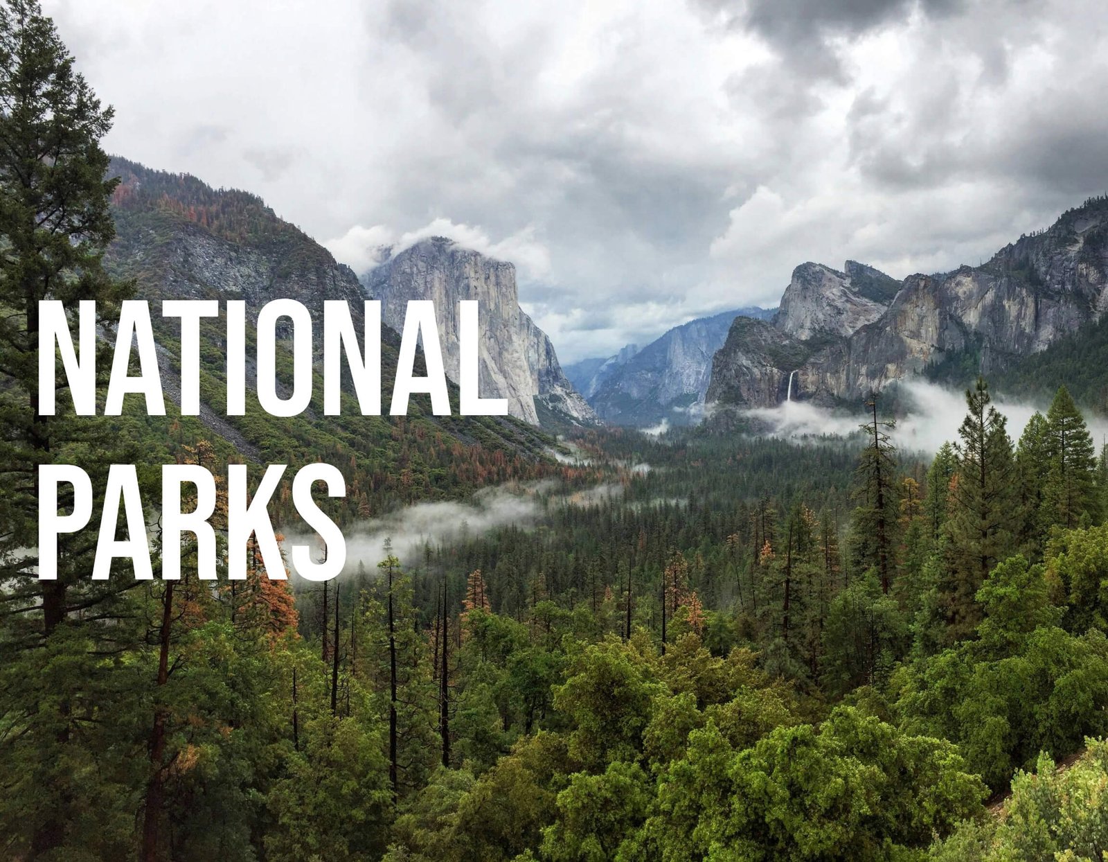 Exploring National Parks: Top Spots and Tips