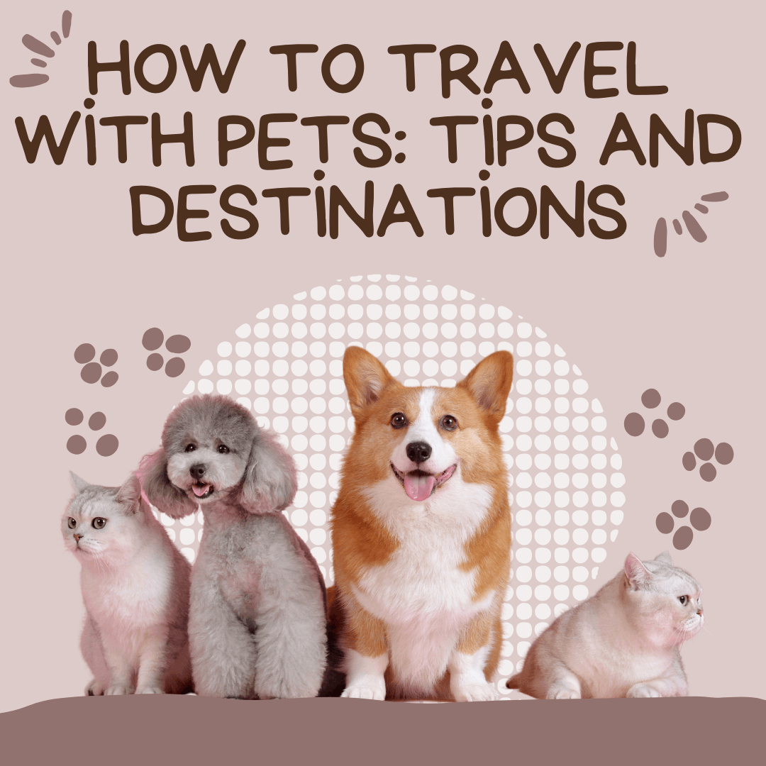 How to Travel with Pets: Tips and Destinations