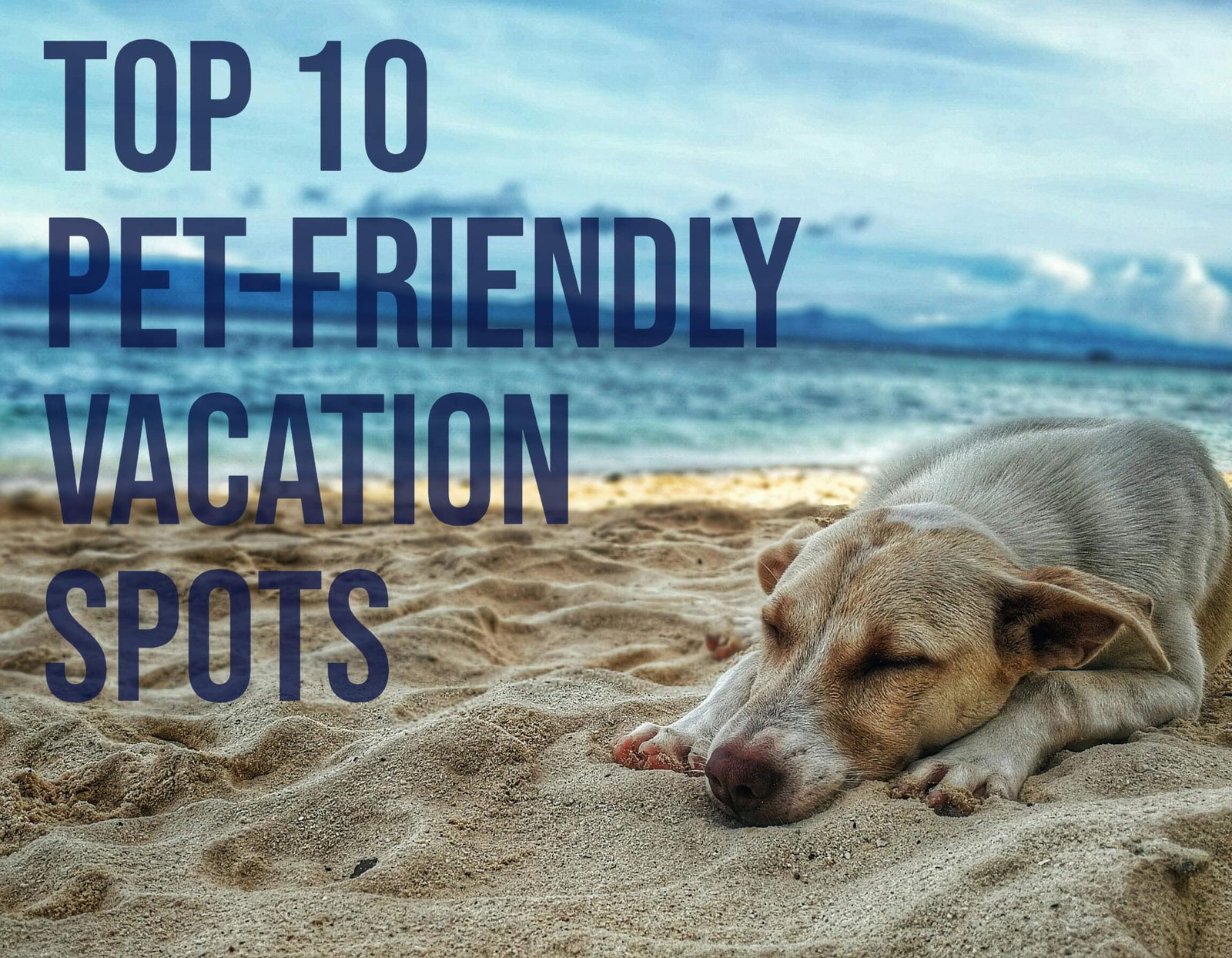 Pet-Friendly Vacation Spots