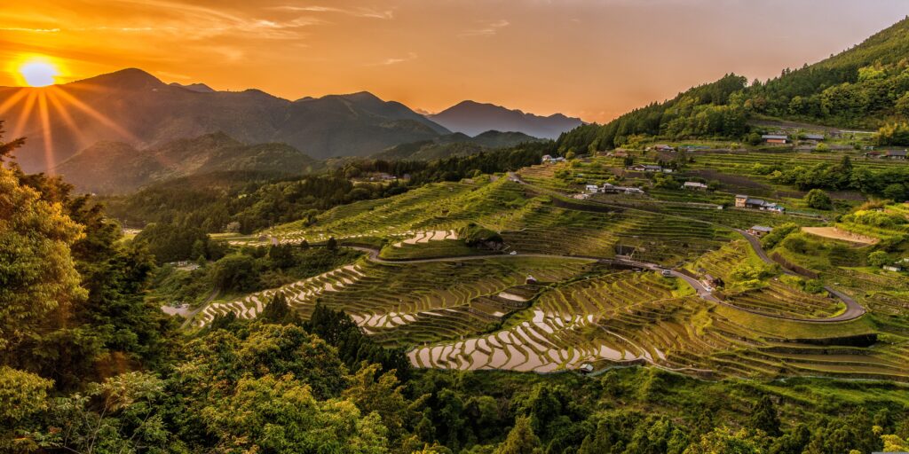 Tegalalang rice terraces Ubud Bali on a budget free activities sunrise